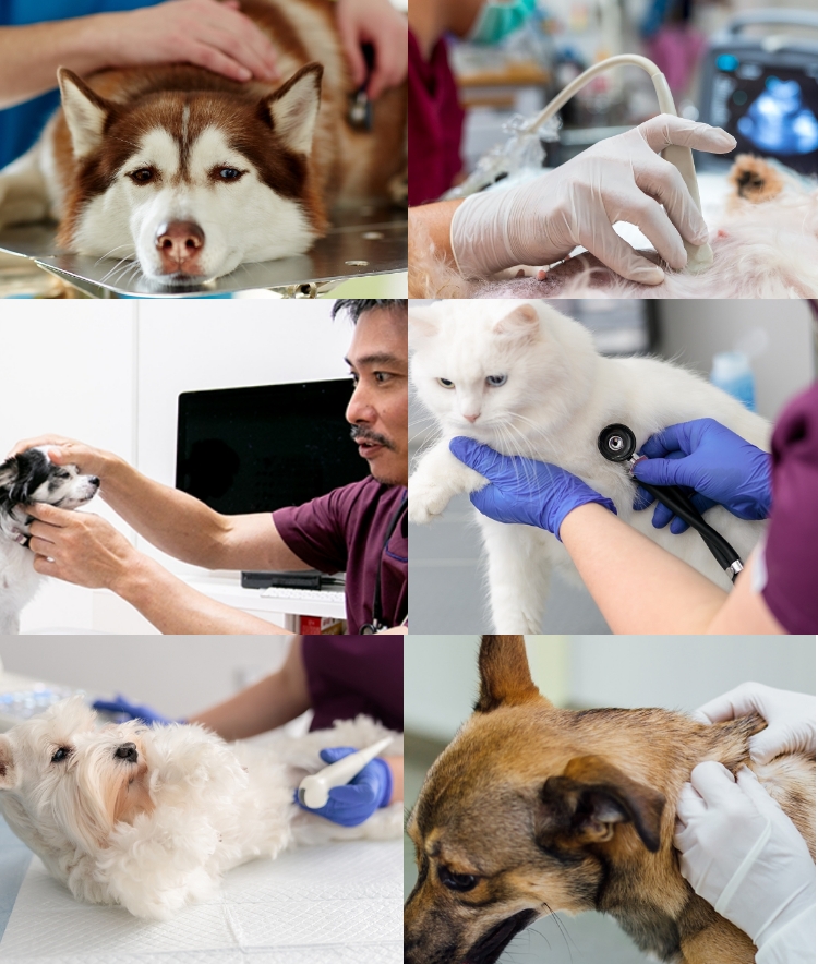 仕事の様子の写真