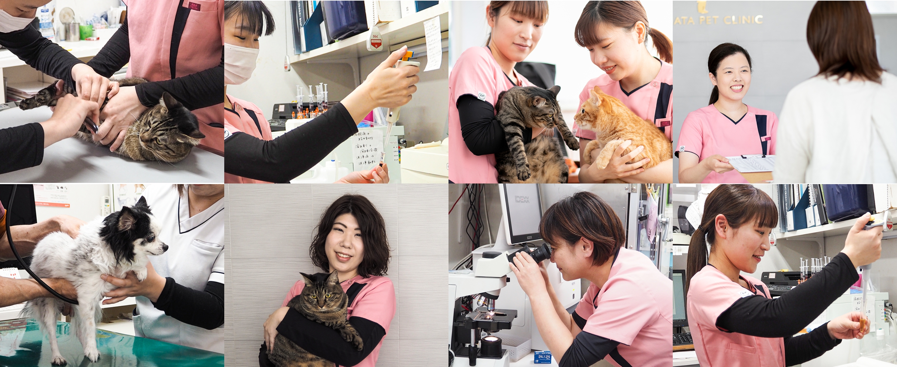 仕事の様子の写真