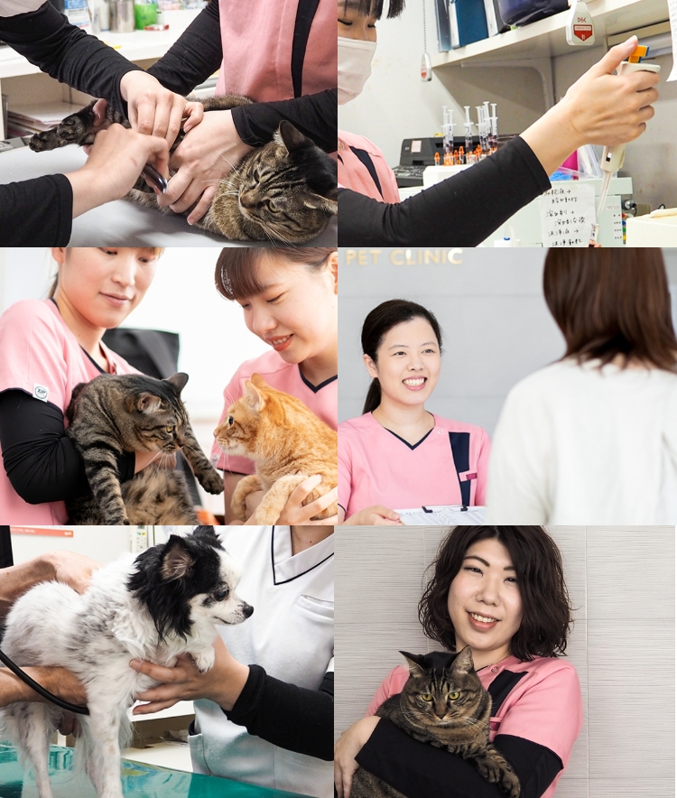 仕事の様子の写真